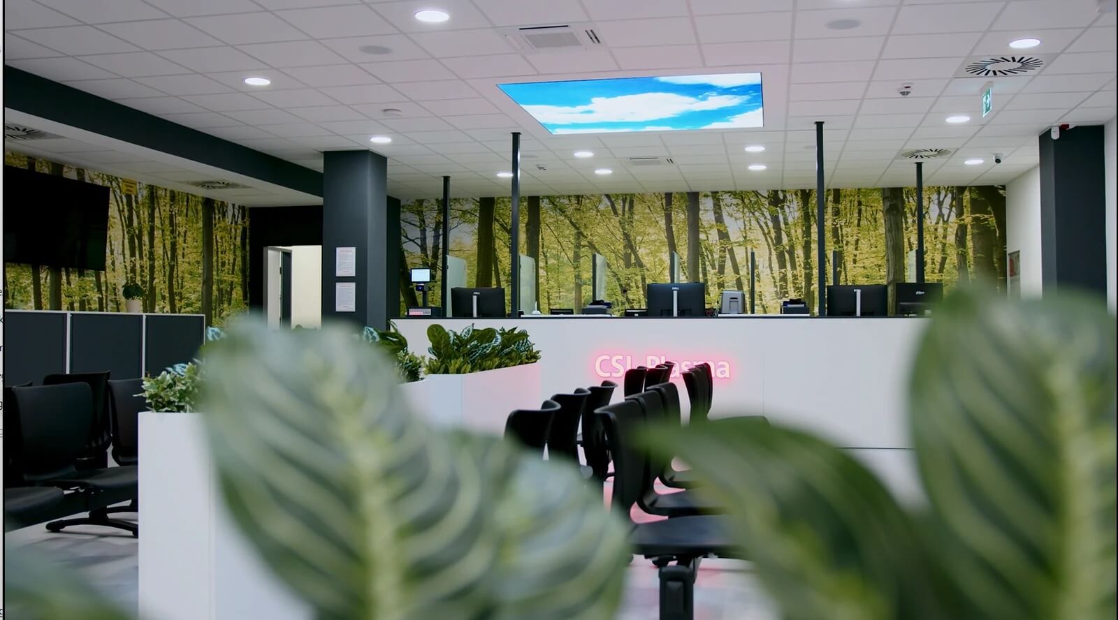 Növényekkel és természetközeli elemekkel kialakított recepció